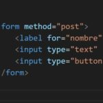 input html