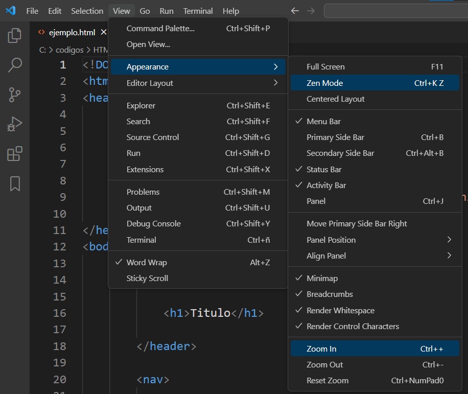 Visual Studio Code Zoom In
